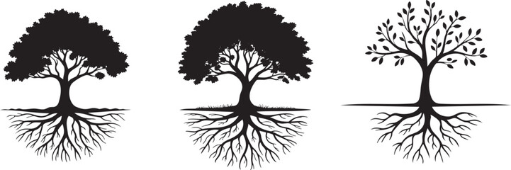 Obraz premium Three Black Tree Silhouettes with Root Systems Depicted in Elegant Vector Illustration Nature and Growth Concepts