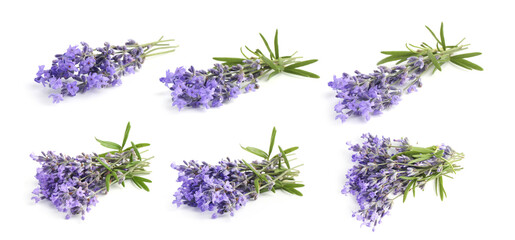 Bundles of lavender flowers isolated on white, set