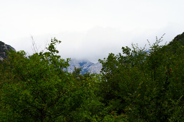 Obraz premium nature on the mountain