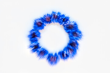 Round frame or wreath of cornflowers on a white background. Greeting card for national holidays in Estonia. Motion blur.
