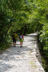 Obraz premium hikers on the trail