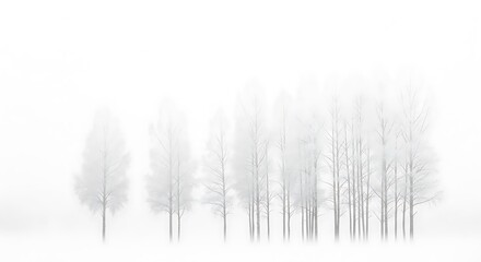 Minimalist scene of bare trees in a foggy winter forest