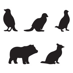 Comprehensive icon set design featuring a variety of graphic elements and color options for diverse applications
