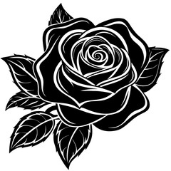 Black rose vector illustration