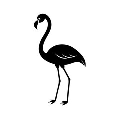 Fototapeta premium Silhouette a flamingo with a curved neck long legs bird animal