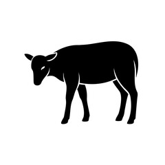 Silhouette a sheep with head down grazing on lamb animal