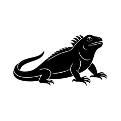 Silhouette an iguana with spiky crest on reptile lizard