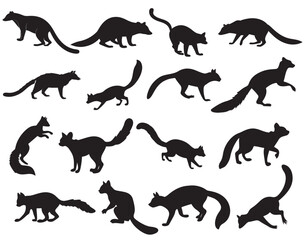 Dynamic Ringtail Cat Silhouettes in Black and White