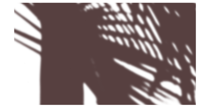 Blurred botanical overlay, leaves casting dreamy indoor shadow ideal for soft minimalist composition and gentle nature inspired designs

