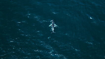 Aerial View of a Whale Swimming in Deep Blue Icelandic Waters