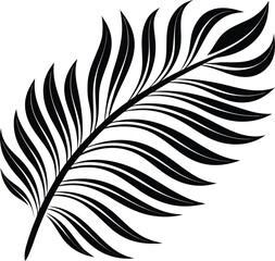 Obraz premium Black palm frond with flowing leaves white vector
