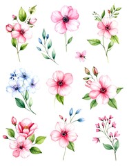 Watercolor floral bouquets