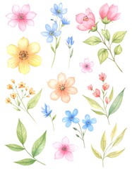 Watercolor flower collection