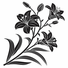 Black lily flower silhouette isolated on white background