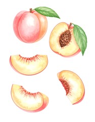Watercolor peaches, whole and sliced