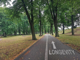 Healthy lifestyle in the park. Longevity concept