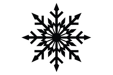 snowflake vector icon
