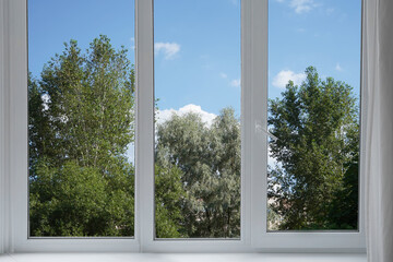 View from the window of a park with green trees.