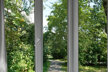 View from the window of a park with green trees.