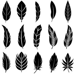 Fototapeta premium Assortment of Black Feather Silhouettes on White Background feathers