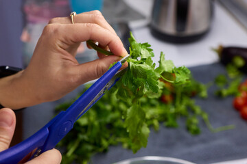 Hands Skillfully Cutting Fresh Cilantro for Delicious and Flavorful Cooking Dishes