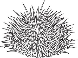 Ornamental Grass Line Art, Simple Grass Illustration, Black and White Grass Bush, Line Drawing Grass Clump, Vector Grass Illustration