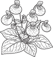 Line Art Flower Illustration, Botanical Line Drawing, Black and White Floral Design, Simple Flower Sketch, Elegant Floral Illustration