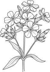 Black and white vector flower illustration with floral pattern and vintage garden design