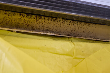 Using a Steamer to Clean Your HVAC System Effectively for Enhanced Air Quality and Comfort