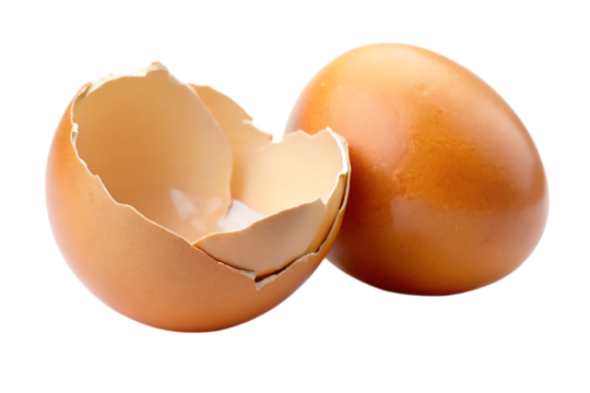 broken eggshell - isolated on a white background PNG. GENERATIVE AI
