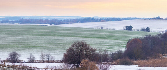 Spacious winter landscape with a snow-covered green field trees and shrubs in the foreground under a cloudy sky on the horizon