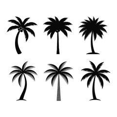 Obraz premium Vector art of collection of six black palm tree silhouettes isolated on white background