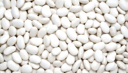 White beans close-up