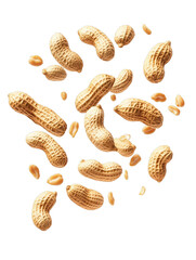A Dynamic Display of Peanuts in Various Positions and Orientations, Capturing Their Unique Textures and Colors on Transparent Background