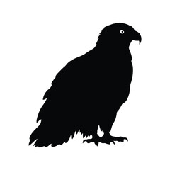 Silhouette of a majestic eagle perched and looking to the right isolated on white background