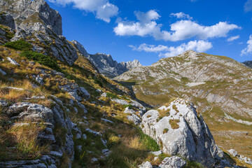Scenic summer landscape of Durmitor National Park in Montenegro, Europe