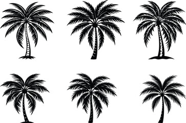 Vector silhouettes of tropical palm trees on a beach for your summer vacation design