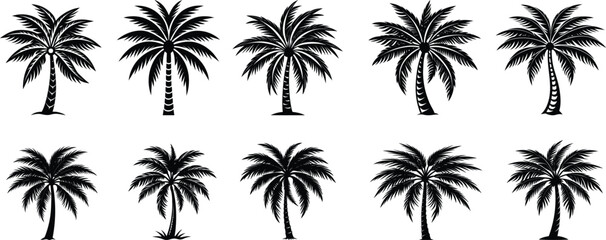 Silhouettes of tropical palm trees against a summer sky on a paradise island beach