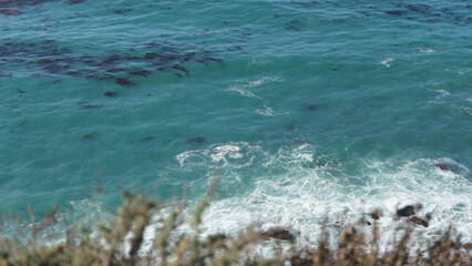 A high-angle view of the turquoise ocean shows dark kelp floating on the surface and white waves breaking on the coast below.