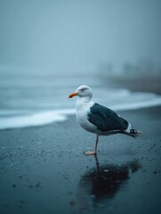 Fototapeta premium a seagull on the beach hd 8k wallpaper stock photograph