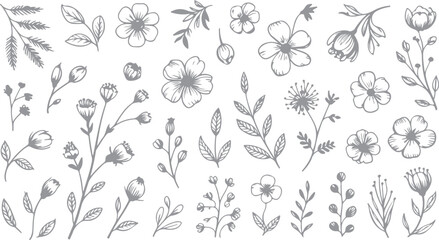 Assorted Hand-Drawn Floral Botanical Elements