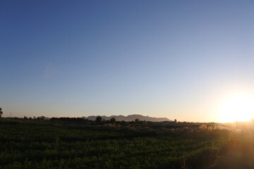Atardecer en el campo