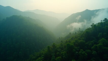 Naklejka premium Misty Green Mountain Valley in the Morning Light