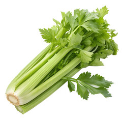 Fresh green celery stalks with leaves, isolated on transparent background