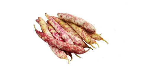 Organic tongue of fire cranberry beans offer a striking appearance, rich flavor, making them a...