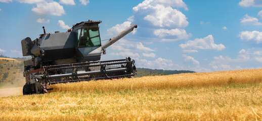 Fototapeta premium Agricultural combine harvesting golden wheat on a sunny day with blue sky and scattered clouds in a rural field.