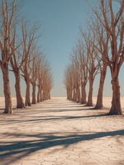 drought destroys cultivated plants rows of dry trees on the dry land in summer