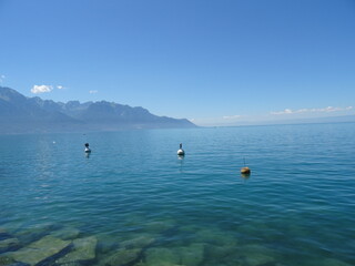 Obraz premium boat on the lake