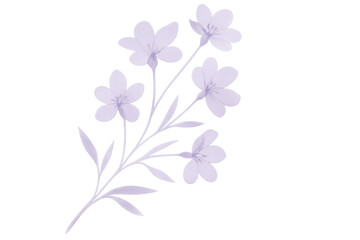 Obraz premium Purple wildflowers with thin stems and delicate petals blooming on a transparent background, perfect for adding a touch of nature to any design