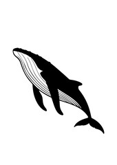 Silhouette of a Humpback Whale